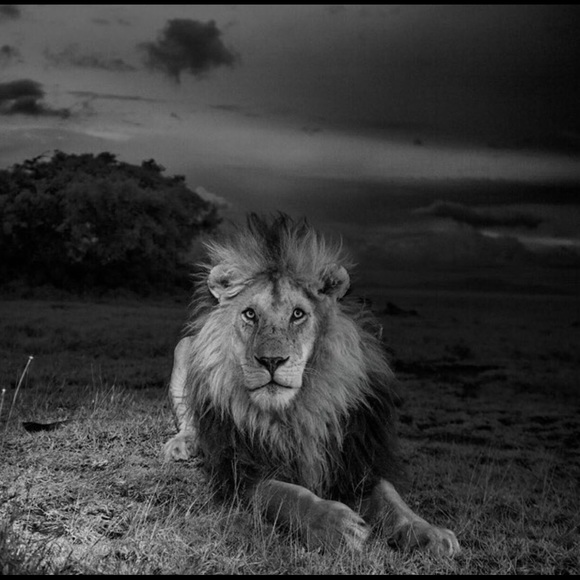 Meet your Posher, Emily - Picture 1 of 1